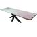 grote boomstamtafel met zwarte spiderpoot