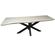 boomstam tafel met spiderpoot